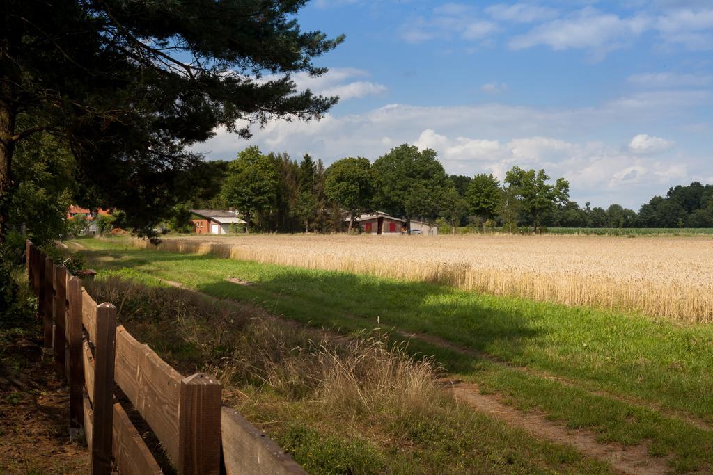 Вілла Ferienhaus Heideland Winsen Aller Meissendorf Номер фото